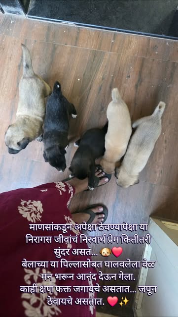 आज या छोट्याशा जीवाने पुन्हा एकदा जाणवलं…
आनंदासाठी मोठ्या गोष्टींची गरज नसते! ❤️
थोडं प्रेम, थोडी म