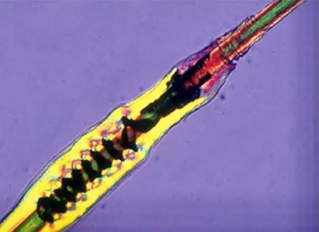 Przyszedł czas na  przedstawienie tematu,  który Julitta Siemiątkowska  @science_polska  przygotowuj