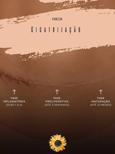Qual a fase da sua cicatrização?
🌡️🩹