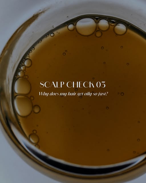 𝗪𝗵𝘆 𝗱𝗼𝗲𝘀 𝗺𝘆 𝗵𝗮𝗶𝗿 𝗴𝗲𝘁 𝗼𝗶𝗹𝘆 𝘀𝗼 𝗳𝗮𝘀𝘁?

If your roots feel greasy shortly afte