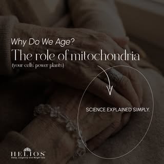 Nobody told us that the secret to great skin was happening inside our cells. Like, literally inside 