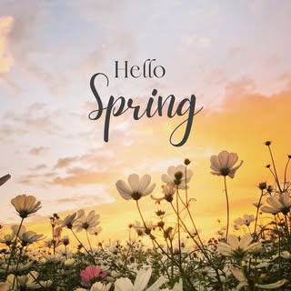 ☀️Happy Spring!

I have a few appointments available for March and April 🌸
Consultations are always