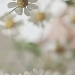 Instagram post