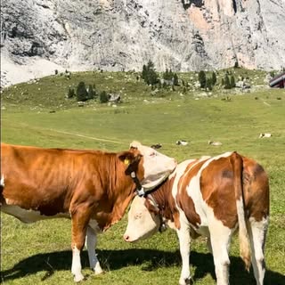 #dolomites