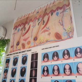 #styleparlortrichologist 
#trichologist 
#portorangetrichologist 
#hairlosssolutions 
#portorangehai