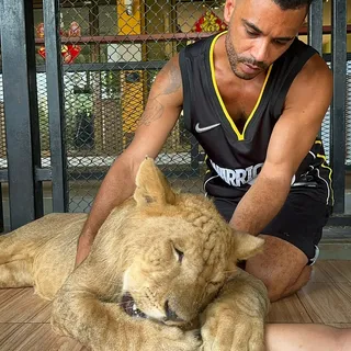 Thailand big cat sanctuary, where they do not do any harm to the animals. Once they are of age they 