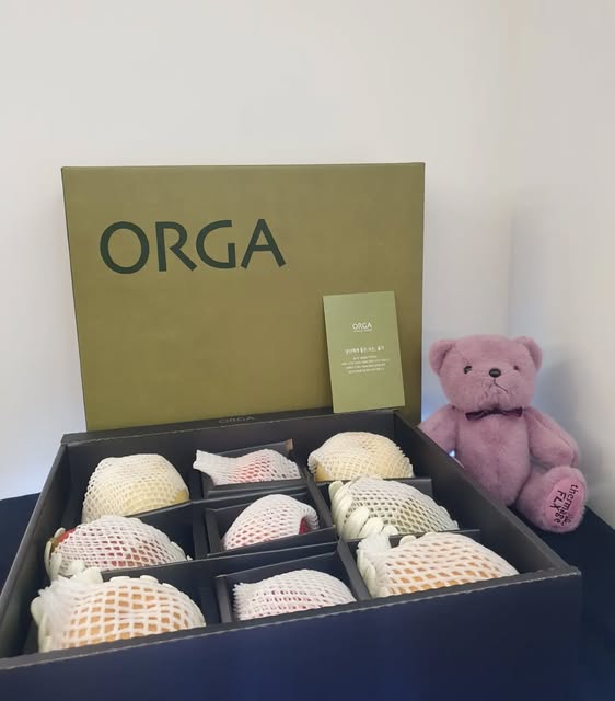 명절을 앞두고 아이니의원에 따뜻한 선물이 도착했습니다. 🎁
정성스럽게 포장해주신 선물부터
고운 과일들까지 하나하나 마음을 담아 준비해주신 것이 느껴져 더욱 감사했습니다.
바쁜 일