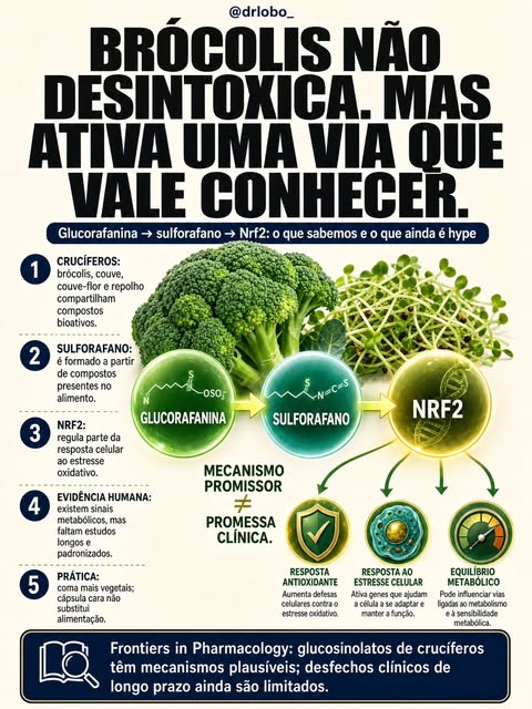 Brócolis e outros vegetais crucíferos contêm compostos que podem formar sulforafano, uma molécula es