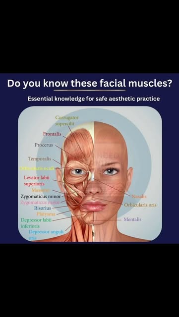 ✨ The art of aesthetics begins with understanding the anatomy. ✨

One of the things I love most abou