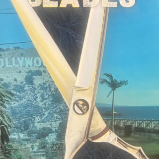 Between the Blades 
I wrote this thing called a book , let me tell you  it was a lot of work and cam
