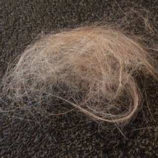 Did you know that Covid can be a major cause of hair-loss?  Mind blowing right? And how do I know, y