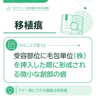 📘【植毛・AGA用語集】
移植痕とは？

受容部位に毛包単位（株）を挿入した際に形成される微小な創部の痕のことです。

スリット作成によって受容部位に毛包を受け入れるための切開孔を形成し、そこへ株（