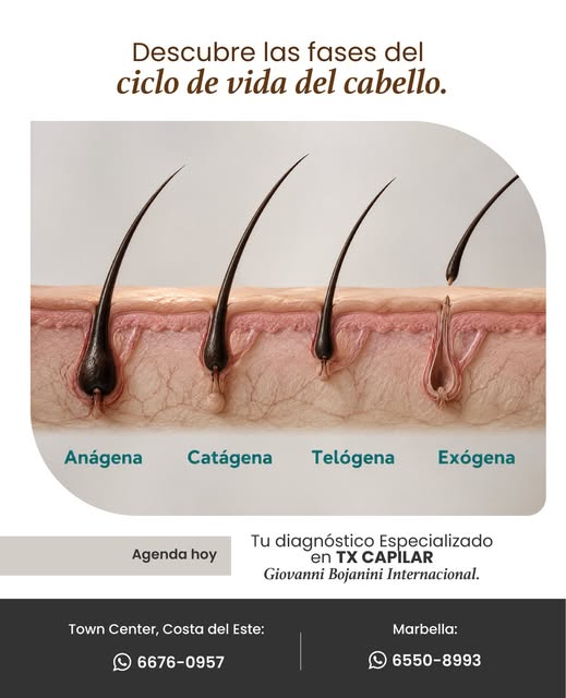 Recuperar tu cabello sí es posible… cuando usas la tecnología correcta.

¿Sabías que tu cabello pasa