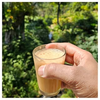 #5 MUNNAR, KERALA 

- Lockhart Tea Plantation Tour @munnarinfo
- Full Day Hike through Tata Tea Plan