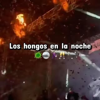 ¿Te has dormido con el cabello mojado? 👀💦 
.
Cuéntame en los comentarios que opinas sobre esto👇🏼