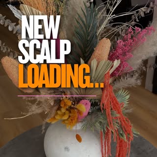 NEW SCALP LOADING… 👀🍊

And this one tells a VERY interesting story.

This client came to us after 