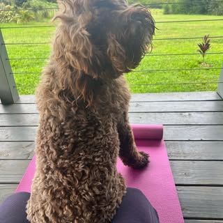 Someone’s ready for yoga!