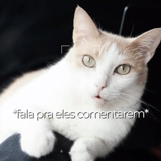 Mito ou verdade

Vou lançar uma série de reels pra vocês por aqui, fiquem de olho 👀 

#transplantec