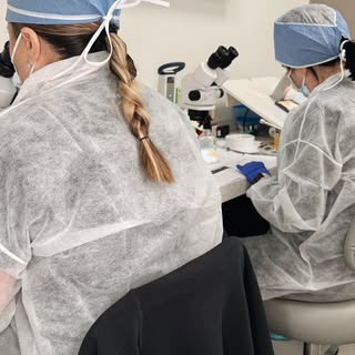 🎥 Behind the Scenes: Hair Transplant Graft Harvesting!

Today we’re taking you inside the procedure