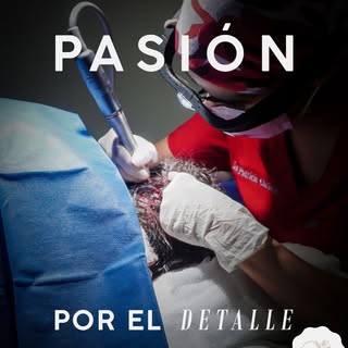 En @aesthetic_solutions_mx contamos con la tecnología más avanzada para realizar tu injerto capilar!
