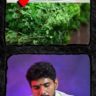 #didyouknow #trending #tamiltrending #snail #snails snailwhite
saffron saffron_food saffronflower
ki