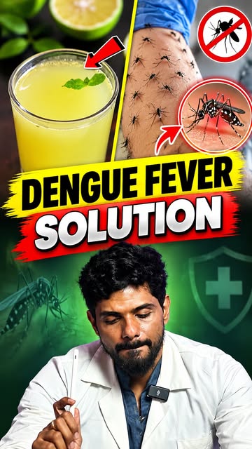 😲உங்க Family-க்கு dengue வரக்கூடாதுன்னா இத Follow பண்ணுங்க ✅👍 #dengue #dengue🦟 #denguenão #Dengue