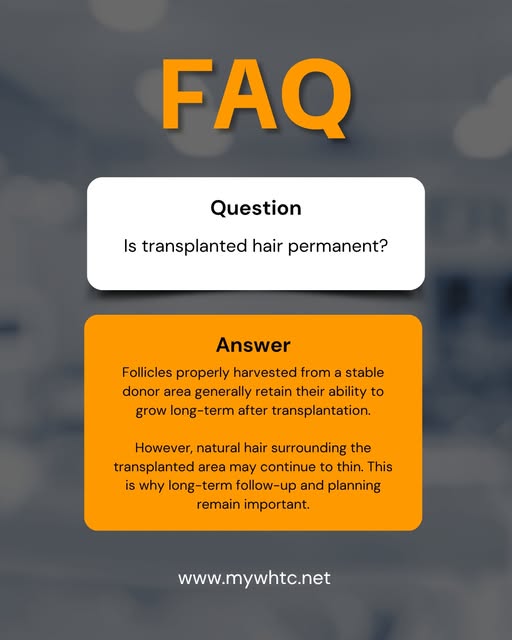 A common question we hear is: **Is transplanted hair permanent?

Hair follicles taken from a stable 