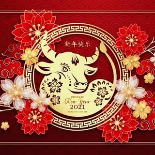 Happy Chinese New Year! 
恭喜發財!