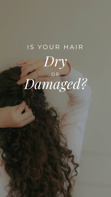 Do you know the difference between dryness and damage? Sometimes it feels unclear, so I’m sharing ho