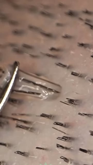 Did you know every strand of hair begins with a single follicle?

Hair follicles are the foundation 