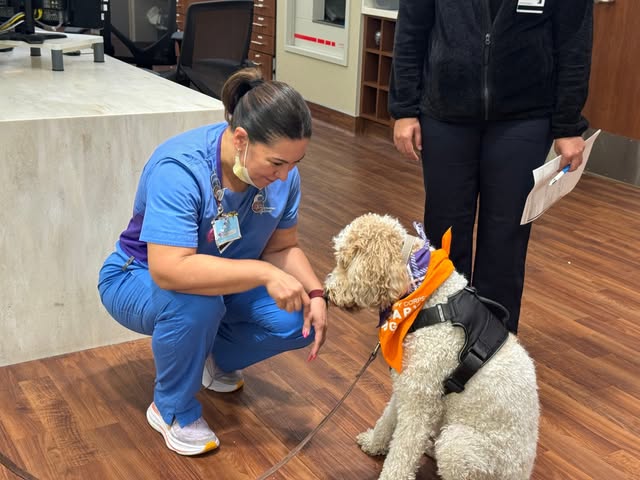 River, a therapy dog, recently visited the Cardiac Care Unit at Northwestern Memorial Hospital to sp