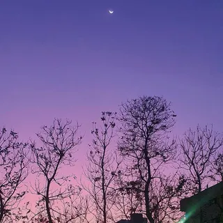 Nothing like a serene evening..