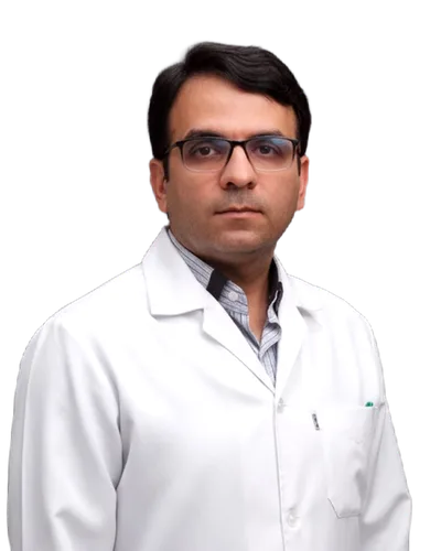 Mohammadreza Ranjkesh