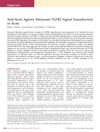 Anti-Acne Agents Attenuate FGFR2 Signal Transduction in Acne