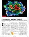 The therapeutic promise of apoptosis
