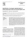 Identification of androgen-regulated genes in SV40-transformed human hair dermal papilla cells