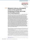 Melatonin induces a stimulatory action on the scrotal skin components of Soay ram in the non-breeding season