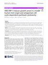 XMU-MP-1 induces growth arrest in a model human mini-organ and antagonises cell cycle-dependent paclitaxel cytotoxicity
