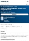 COVID-19 Infection Is a Major Cause of Acute Telogen Effluvium