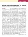 Sebaceous Gland Regeneration in Human Skin Xenografts