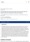 Dual Wavelength LEDs Induce Reactive Oxygen Species and Nitric Oxide That Inhibit the Production of Dihydrotestosterone by 5-Alpha Reductase