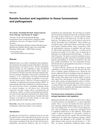 Keratin function and regulation in tissue homeostasis and pathogenesis