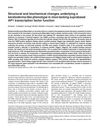 Structural and Biochemical Changes Underlying a Keratoderma-Like Phenotype in Mice Lacking Suprabasal AP1 Transcription Factor Function