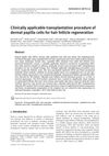 Clinically applicable transplantation procedure of dermal papilla cells for hair follicle regeneration