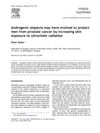 Androgenic alopecia may have evolved to protect men from prostate cancer by increasing skin exposure to ultraviolet radiation