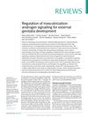 Regulation of masculinization: androgen signalling for external genitalia development