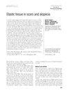 Elastic tissue in scars and alopecia