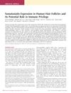 Somatostatin Expression in Human Hair Follicles and Its Potential Role in Immune Privilege
