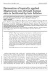 Permeation of topically applied Magnesium ions through human skin is facilitated by hair follicles