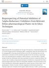Bioprospecting of Potential Inhibitors of 5alpha Reductase 2 Inhibitors from Relevant Ethno-pharmacological Plants via In Silico Techniques